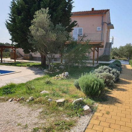 Olive Apartments Ugljan Extérieur photo