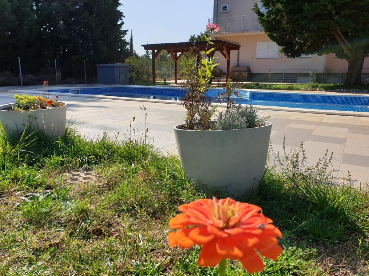 Olive Apartments Ugljan Extérieur photo