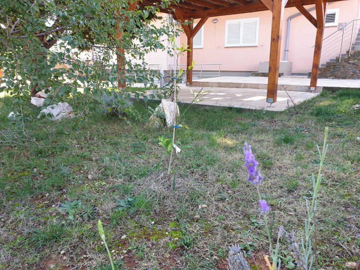 Olive Apartments Ugljan Extérieur photo