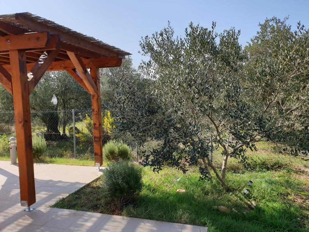 Olive Apartments Ugljan Extérieur photo